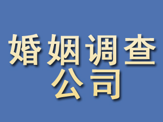 夏邑婚姻调查公司